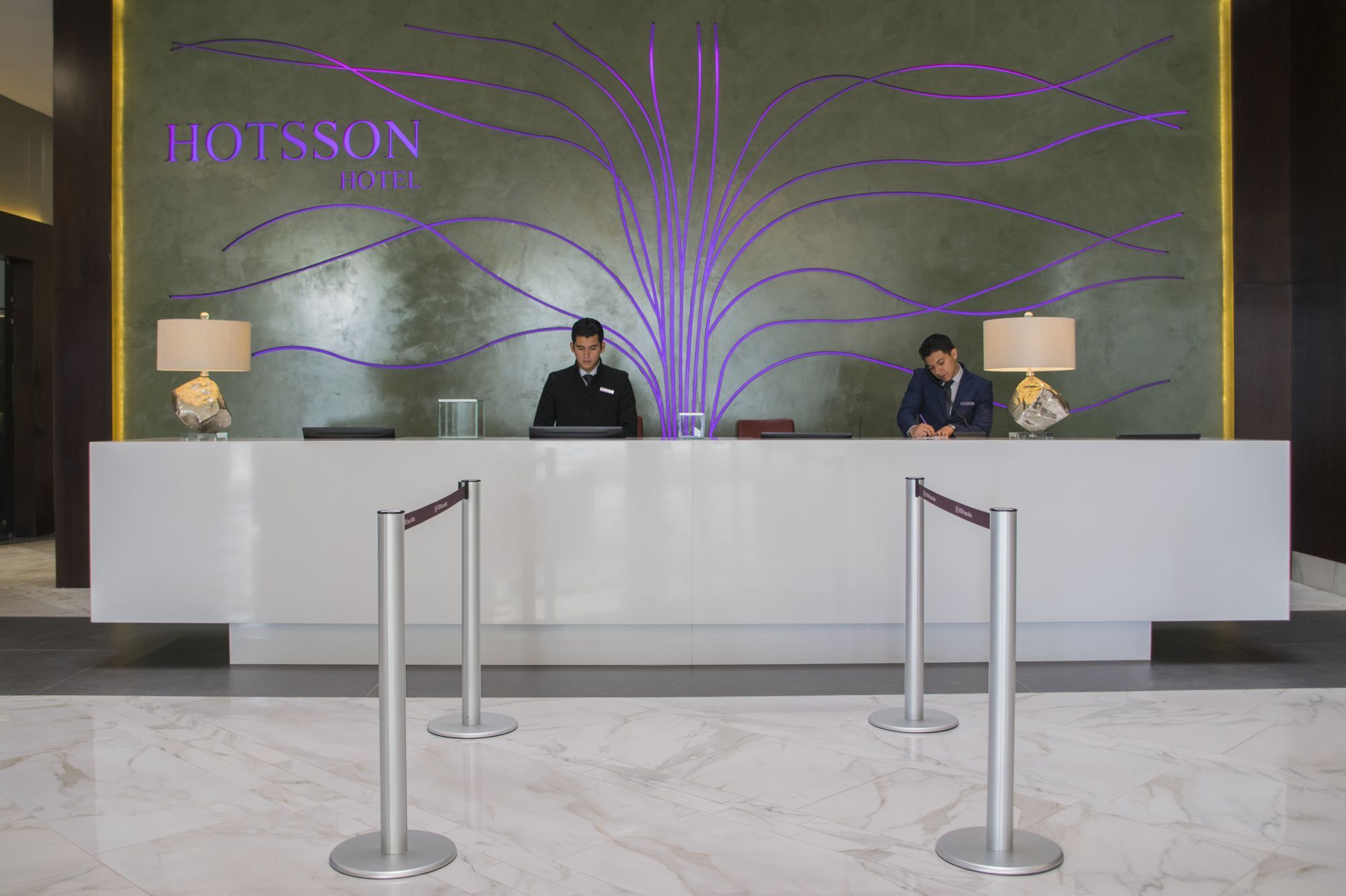 Hs Hotsson Hotel Irapuato Exteriör bild